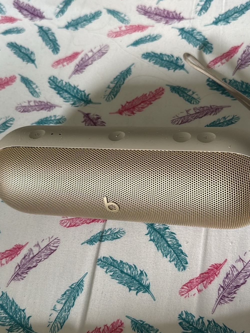 Beats Pill 2024